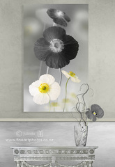 BLACK POPPIES - DREAMY VERTICAL